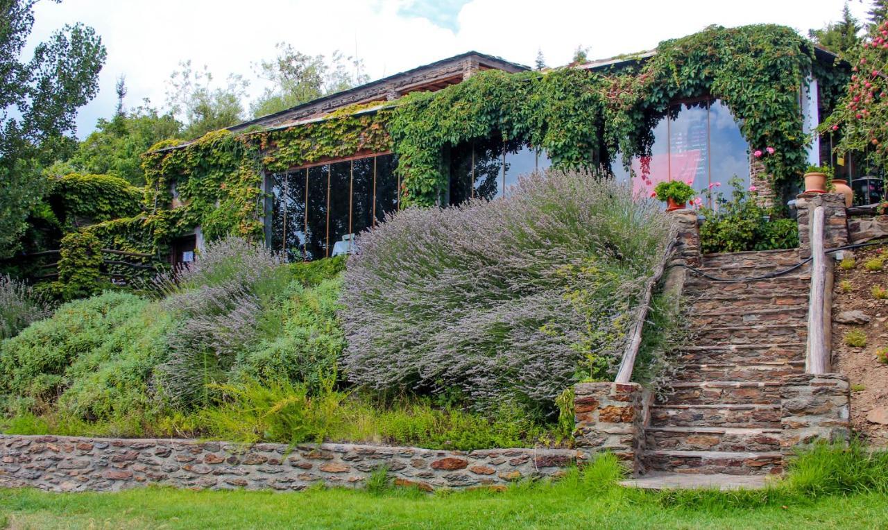 Casa Rural Catifalarga Alpujarra กาปีเลย์รา ภายนอก รูปภาพ