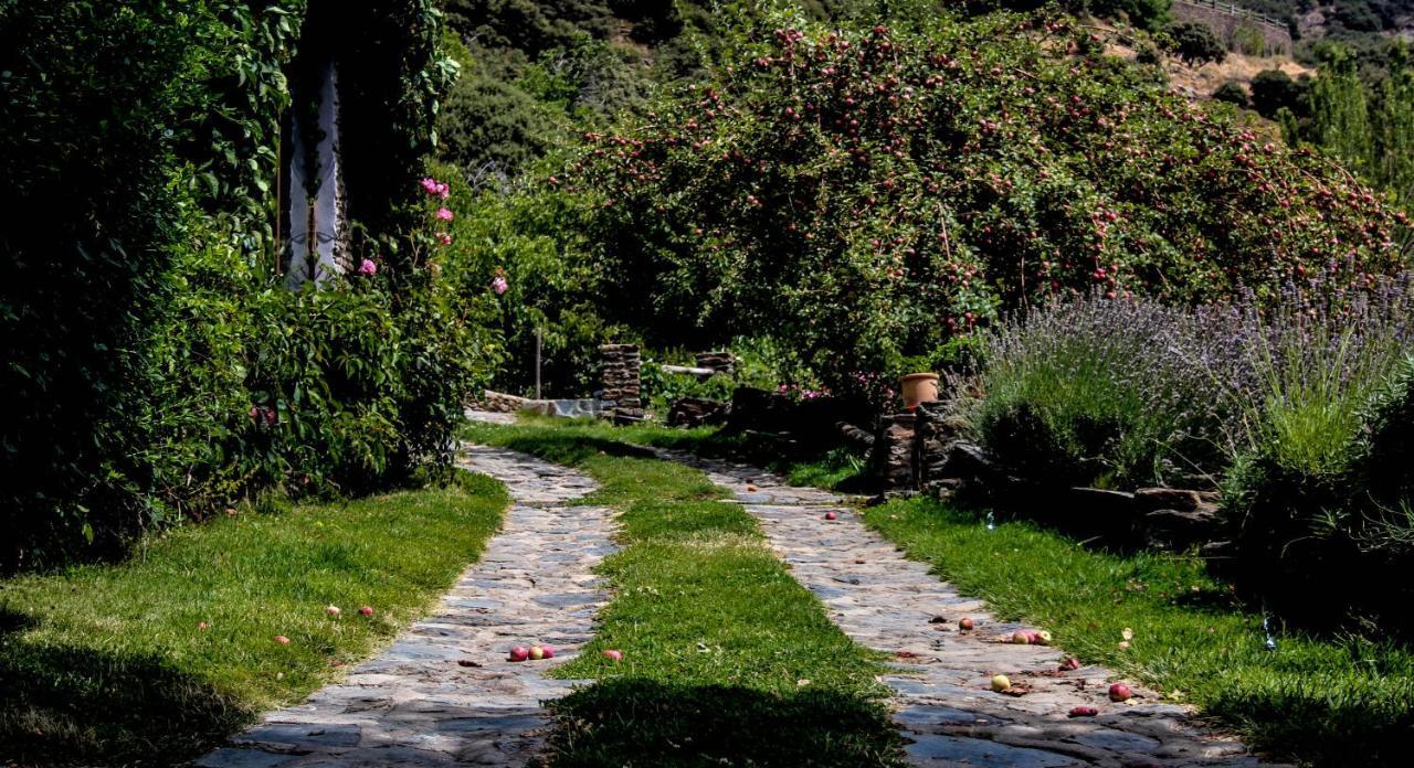 Casa Rural Catifalarga Alpujarra กาปีเลย์รา ภายนอก รูปภาพ