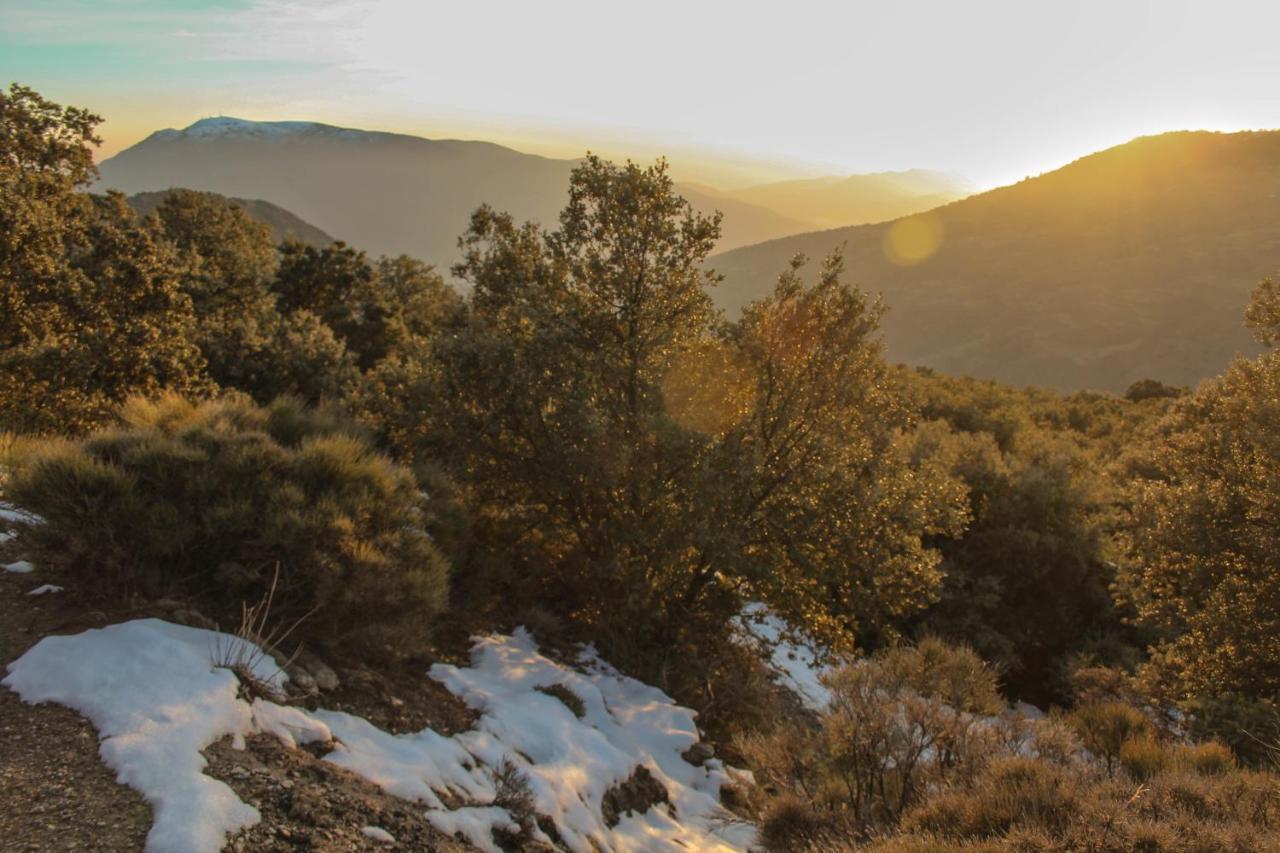 Casa Rural Catifalarga Alpujarra กาปีเลย์รา ภายนอก รูปภาพ