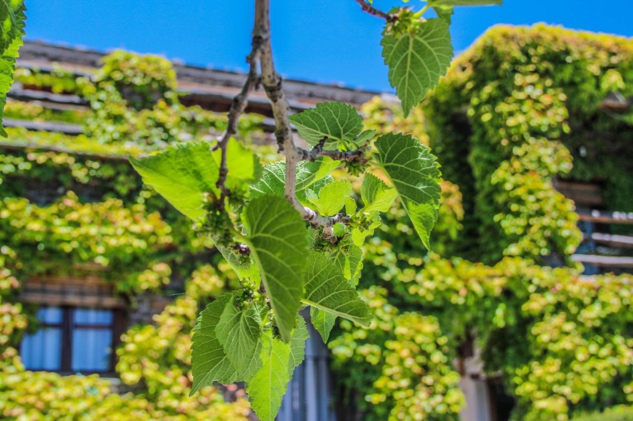 Casa Rural Catifalarga Alpujarra กาปีเลย์รา ภายนอก รูปภาพ